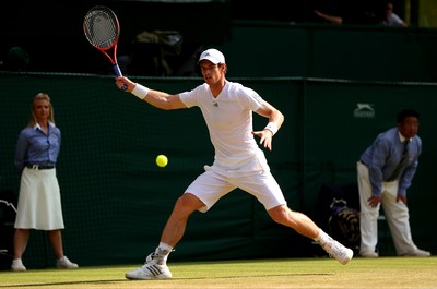 Andy Murray Poster 10207856