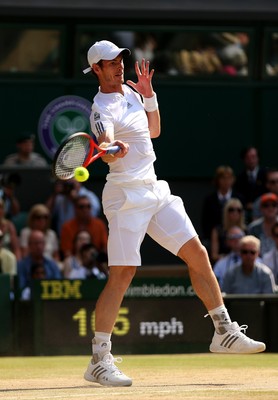 Andy Murray Stickers 10208120