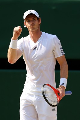 Andy Murray puzzle 10208136