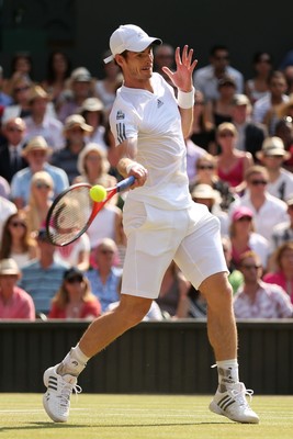 Andy Murray puzzle 10208141