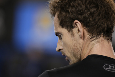 Andy Murray Stickers 10208175