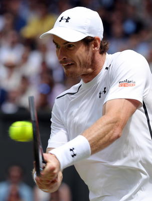 Andy Murray puzzle 10208239