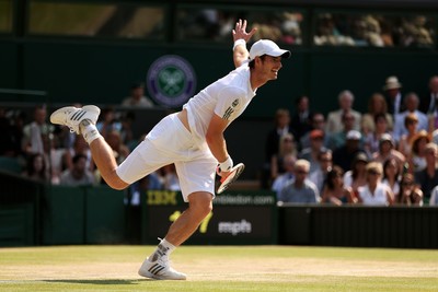 Andy Murray puzzle 10208240