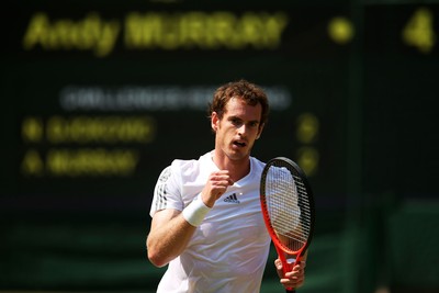 Andy Murray Stickers 10208294