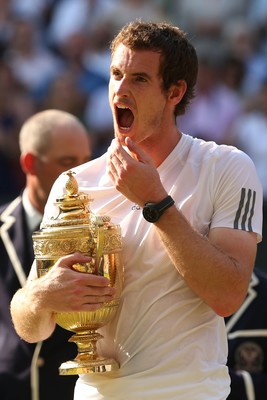 Andy Murray puzzle 10208318
