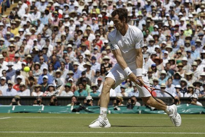 Andy Murray puzzle 10208345