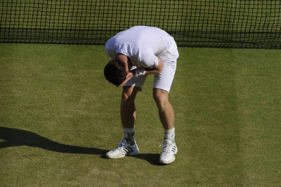Andy Murray puzzle 10208354
