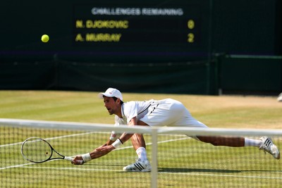 Andy Murray puzzle 10208355