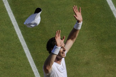 Andy Murray puzzle 10208356