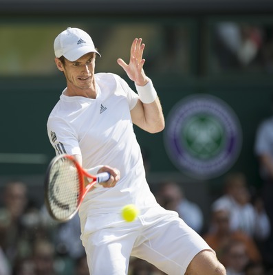 Andy Murray puzzle 10208409