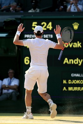 Andy Murray Poster 10208425