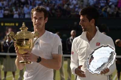 Andy Murray puzzle 10208438