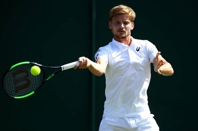 David Goffin posters