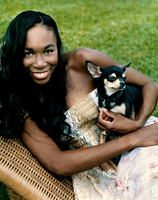 Venus Williams poster