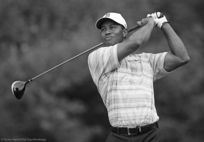 Tiger Woods puzzle 10222129