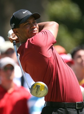 Tiger Woods puzzle 10222138