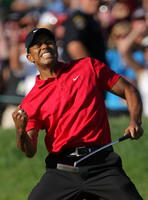 Tiger Woods t-shirt #10222143