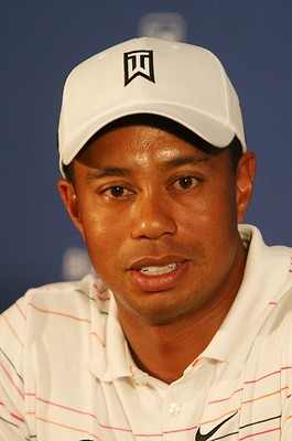 Tiger Woods puzzle 10222149