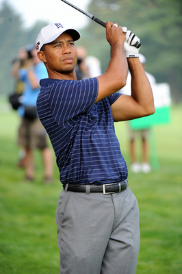 Tiger Woods puzzle 10222162