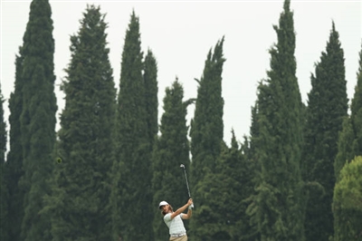 Tommy Fleetwood Poster 10225433