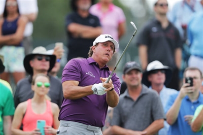 Phil Mickelson puzzle 10229082