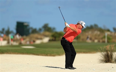 Charley Hoffman puzzle 10233804