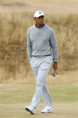 Tiger Woods puzzle 10245125