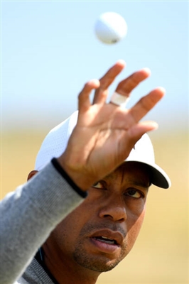 Tiger Woods Poster 10245242