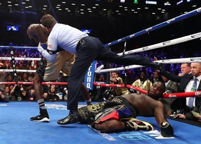 Deontay Wilder puzzle 10258215