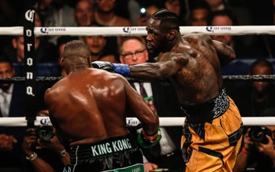 Deontay Wilder Poster 10258216