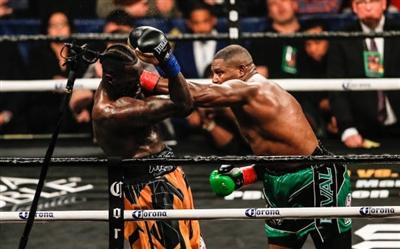 Deontay Wilder Poster 10258217