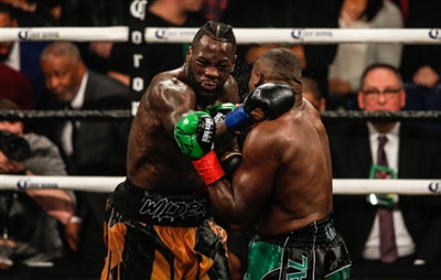 Deontay Wilder Poster 10258233