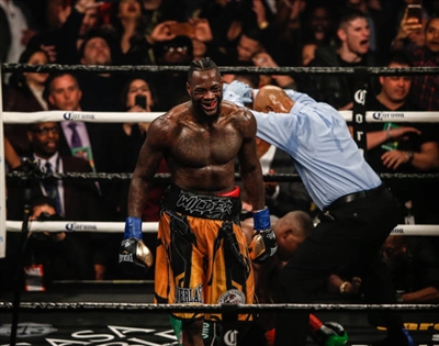 Deontay Wilder Poster 10258242