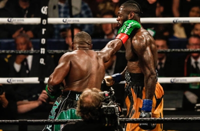 Deontay Wilder Poster 10258244