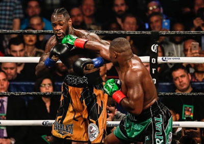 Deontay Wilder Poster 10258247