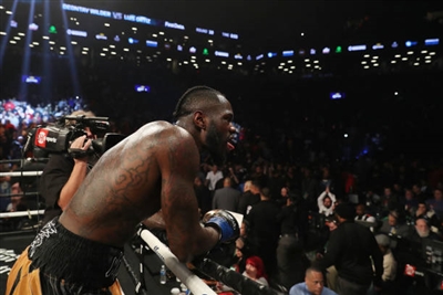 Deontay Wilder puzzle 10258273