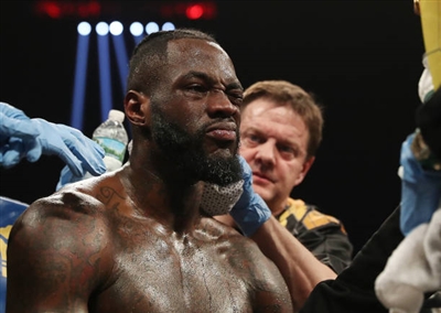 Deontay Wilder puzzle 10258275