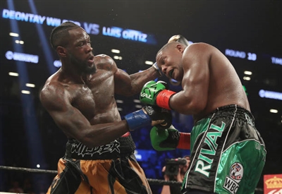 Deontay Wilder Poster 10258278