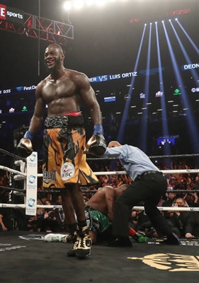 Deontay Wilder Poster 10258293