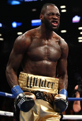Deontay Wilder Poster 10258299