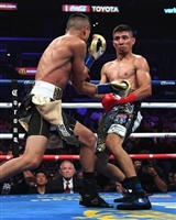 Mikey Garcia poster
