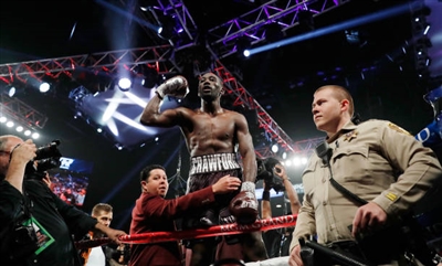 Terence Crawford Stickers 10262492
