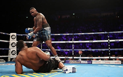 Dillian Whyte Stickers 10264242