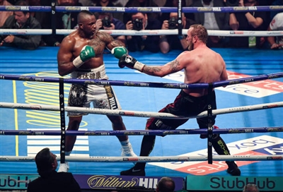 Dillian Whyte Poster 10264246