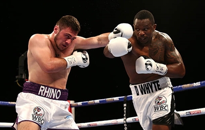 Dillian Whyte Stickers 10264264