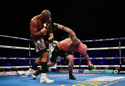 Dillian Whyte Poster 10264318