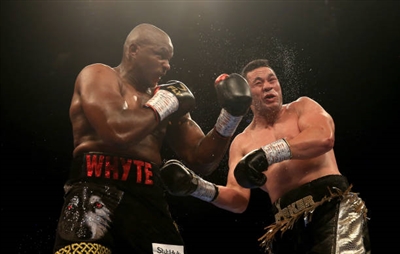 Dillian Whyte Stickers 10264368