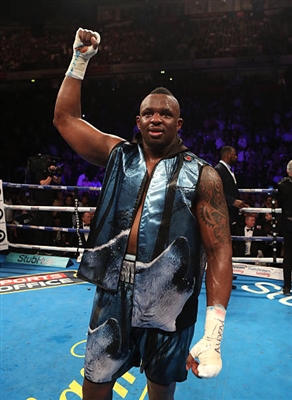 Dillian Whyte Stickers 10264395