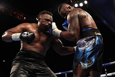 Dillian Whyte puzzle 10264435