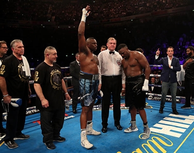 Dillian Whyte puzzle 10264481